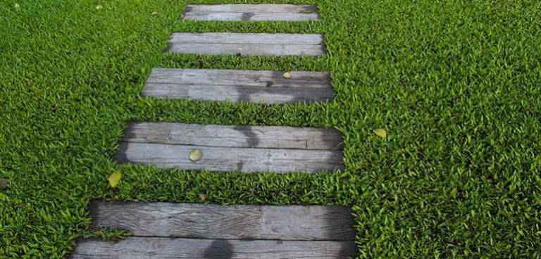 When To Apply Milorganite To The Lawn?